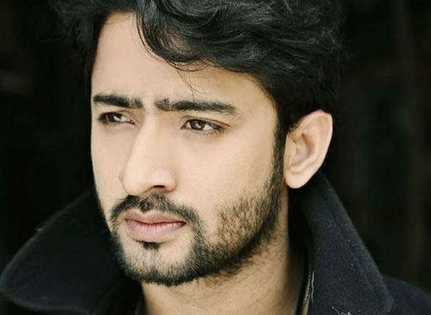 Shaheer Sheikh Book Celeb