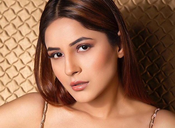Shehnaaz Gill Book Celeb